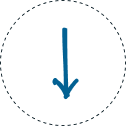 Scroll to About